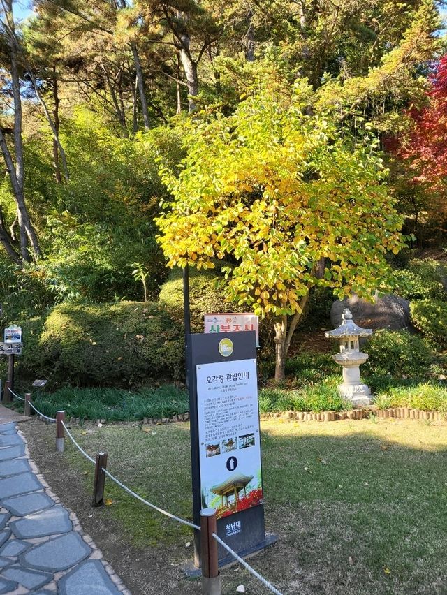 메타세콰이어 명소로 유명한 청남대