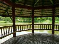 คลายหนาว..เที่ยวน้ำพุร้อนป่าตึง