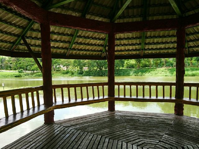 คลายหนาว..เที่ยวน้ำพุร้อนป่าตึง
