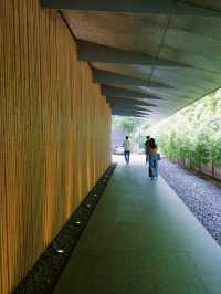 景點推薦：根津美術館——靜謐庭園與東方藝術的交融