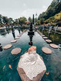 峇里島🌟水上宮殿✨Tirta Gangga 同巨型鯉魚合照🐟