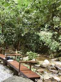 อุตสาชงที่บ้าน คาเฟ่กลางป่าในจังหวัดเชียงใหม่🌳