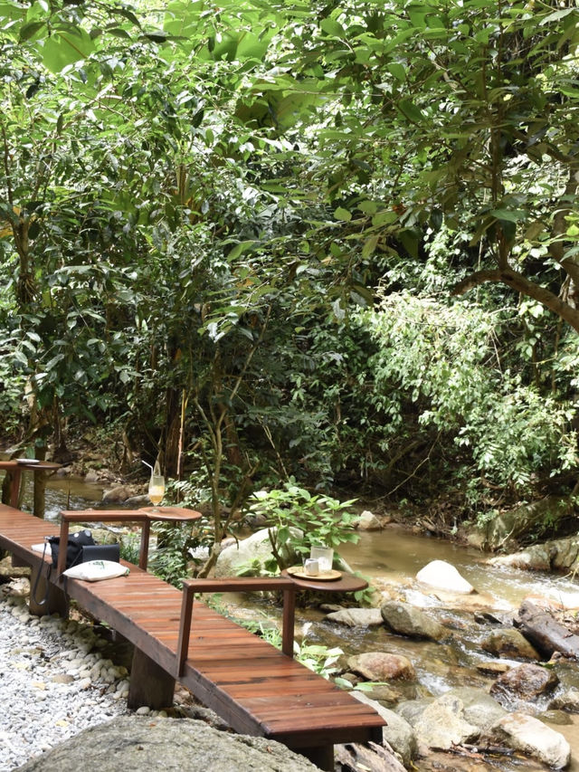 อุตสาชงที่บ้าน คาเฟ่กลางป่าในจังหวัดเชียงใหม่🌳