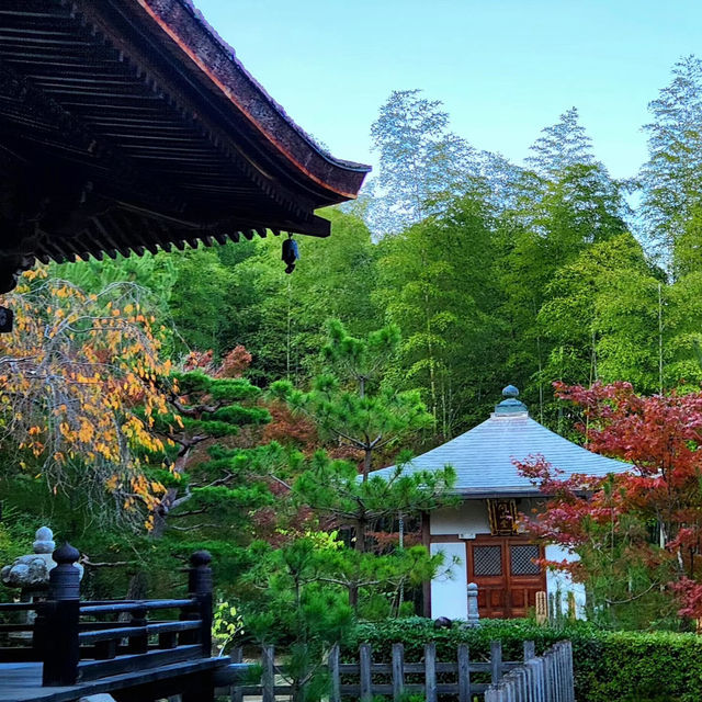 泉岳寺🪻靜謐的禪意