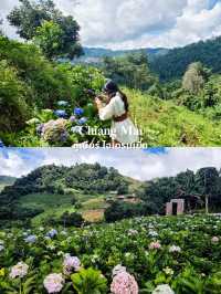 7 ที่เที่ยวธรรมชาติใกล้เมืองเชียงใหม่ 🌿 