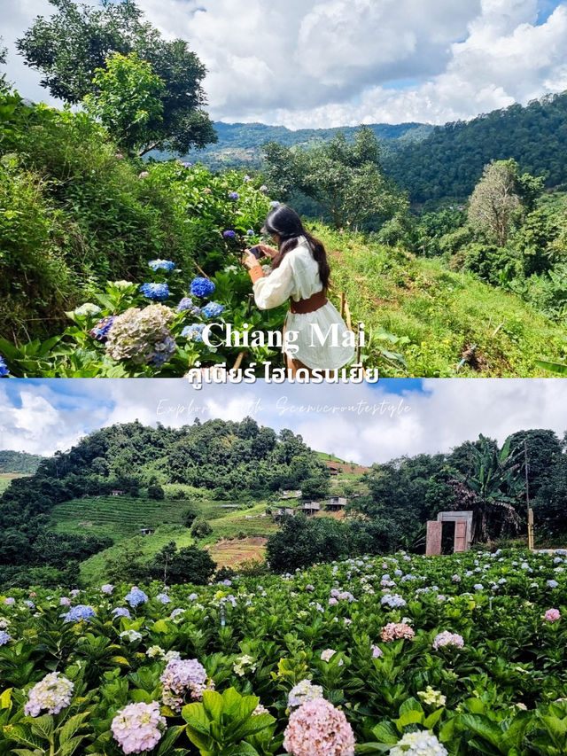 7 ที่เที่ยวธรรมชาติใกล้เมืองเชียงใหม่ 🌿 