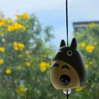 sunny saii cafe :เทพารักษ์