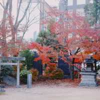 Yohashira Shrine