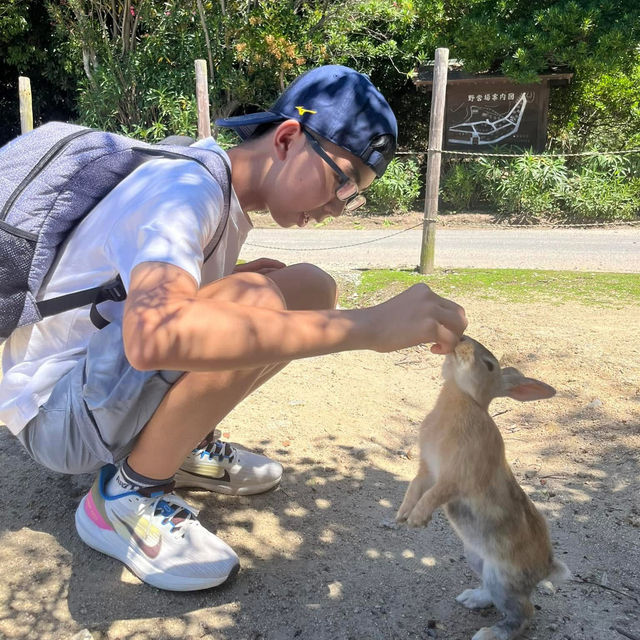 被兔子療癒的感覺