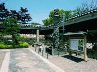 京都🇯🇵勝龍寺城跡