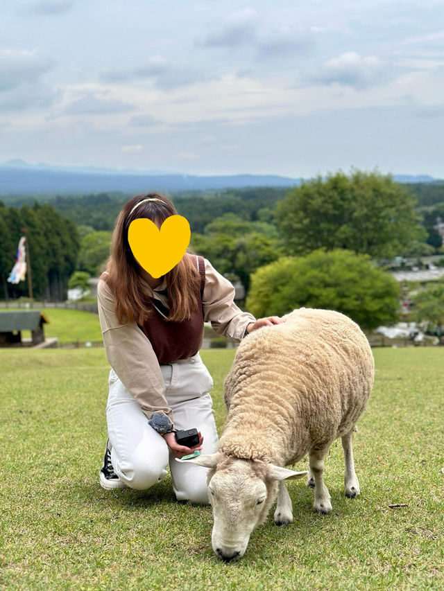 可愛度滿分的富士山馬飼野牧場！