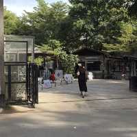 บ้านข้างวัด - เชียงใหม่