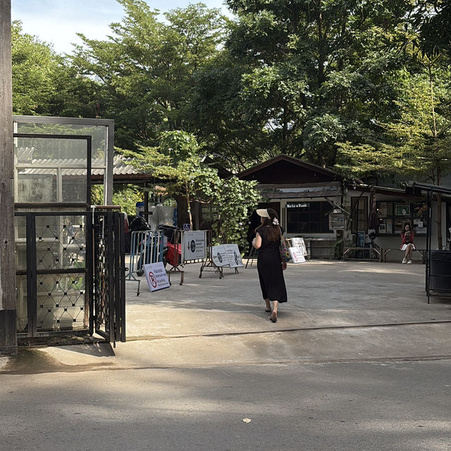 บ้านข้างวัด - เชียงใหม่