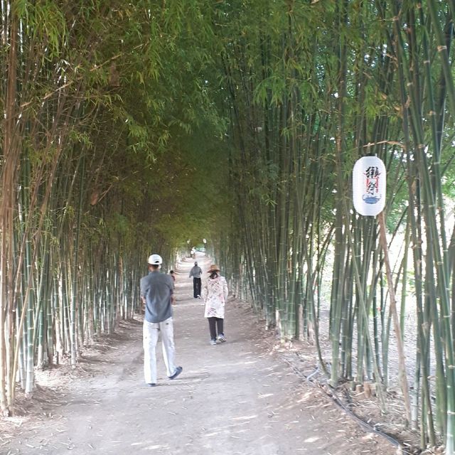 Hinoki Land