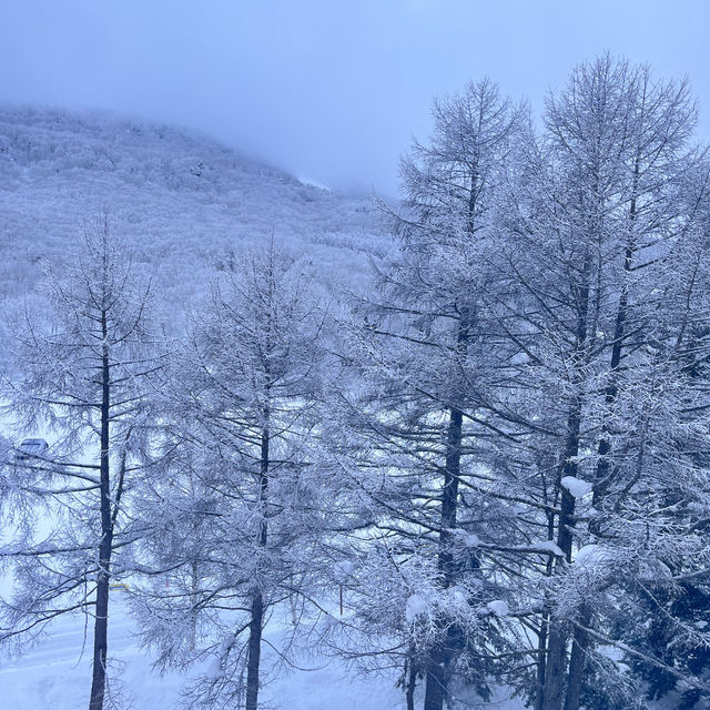 #日本長野 #志賀高原滑雪場