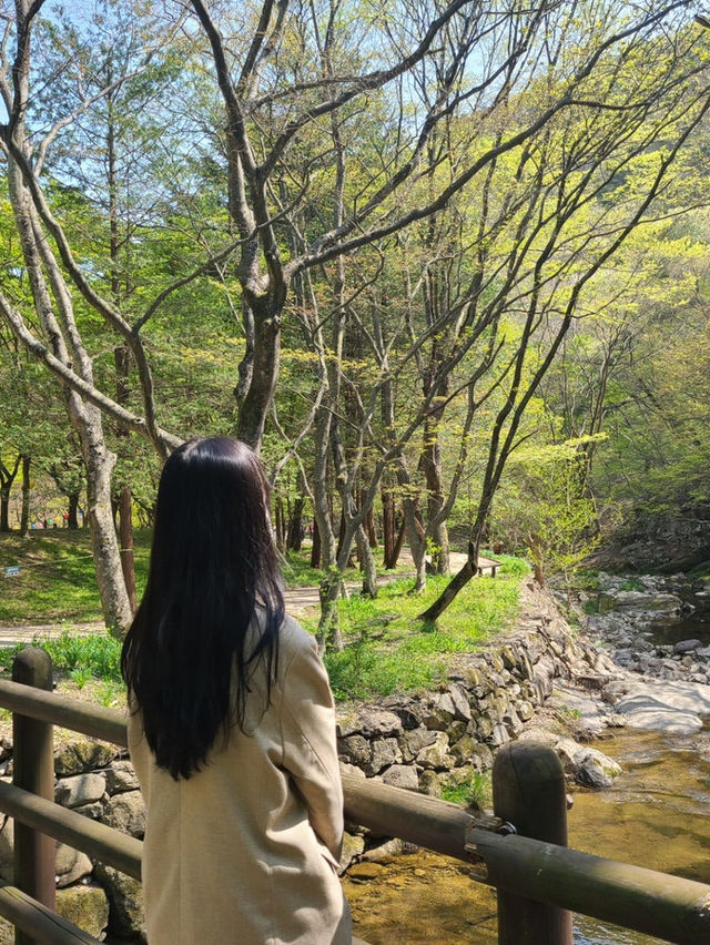 내장산