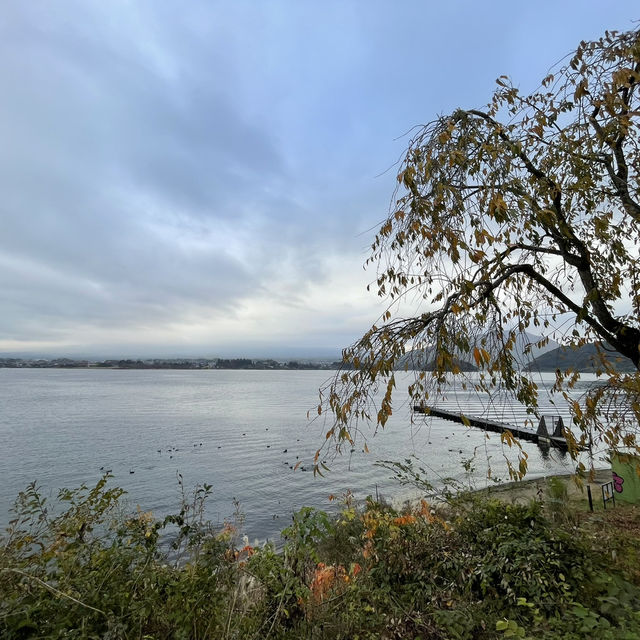 November Moments at the Foot of Fuji