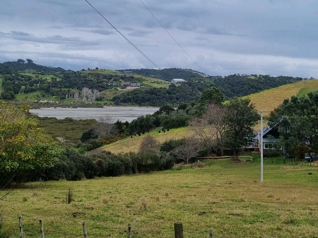 와이헤케 와이너리 투어 - Cable Bay vineyards🇳🇿