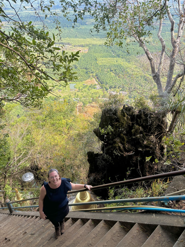 No chill to hike up to this top!!🔝 🐯🐅