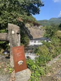 【福岡グルメ】自然豊かなテラス席が魅力なカフェ