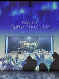光の演出が素敵なキラキラ水族館🐬❄️