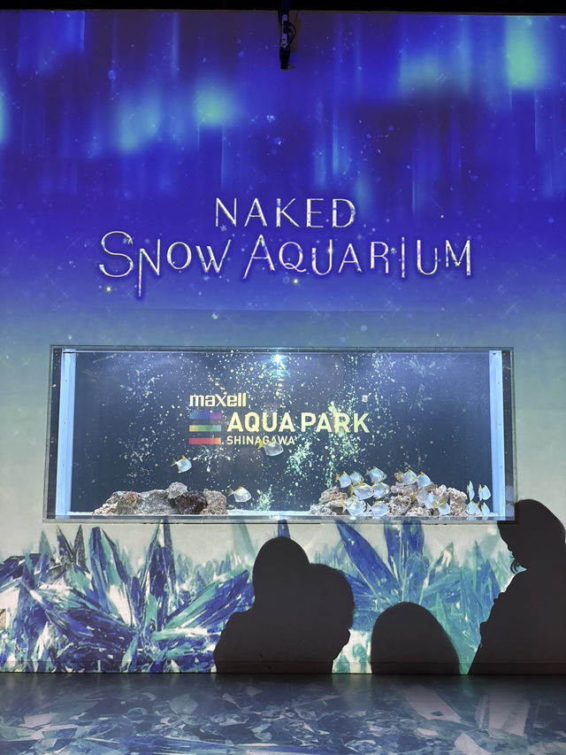 光の演出が素敵なキラキラ水族館🐬❄️
