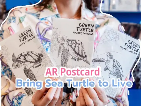 為海龜獻上一份愛 