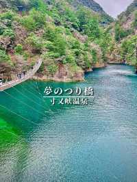 【静岡県】世界が認めた‼️秘境にある絶景吊り橋✨