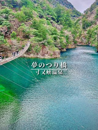 【靜岡縣】獲得世界認可的秘境絕景吊橋