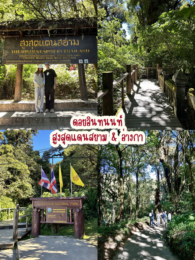 One day trip “ดอยอินทนนท์”✨