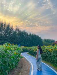 บ้านไร่นายรุ่ง | กาญจนบุรี 🌻