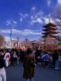 Tokyo 2025 from a season visitor 🗼🇯🇵