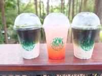 cedar ป่าสนคาเฟ่ @ เขาค้อ
