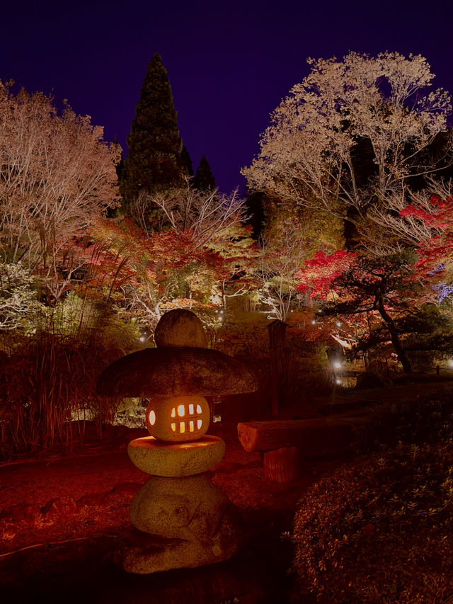 名古屋｜夢幻楓紅倒影的正確打開方式 東山植物園 