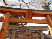 櫛田神社⛩️