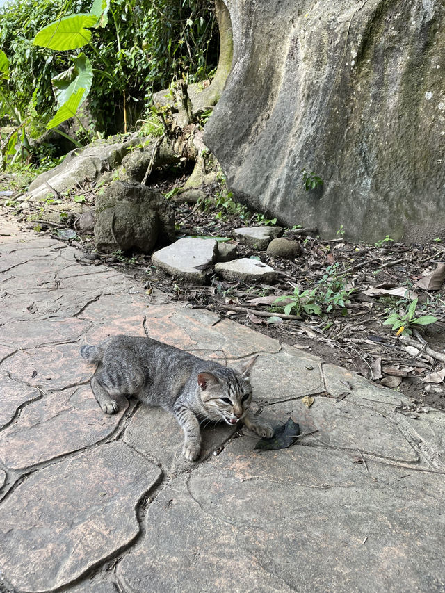 Exploring the unique 7 pit stop in Gunung Reng