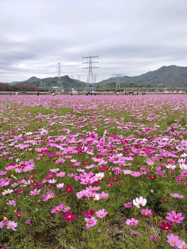 新春中山遊