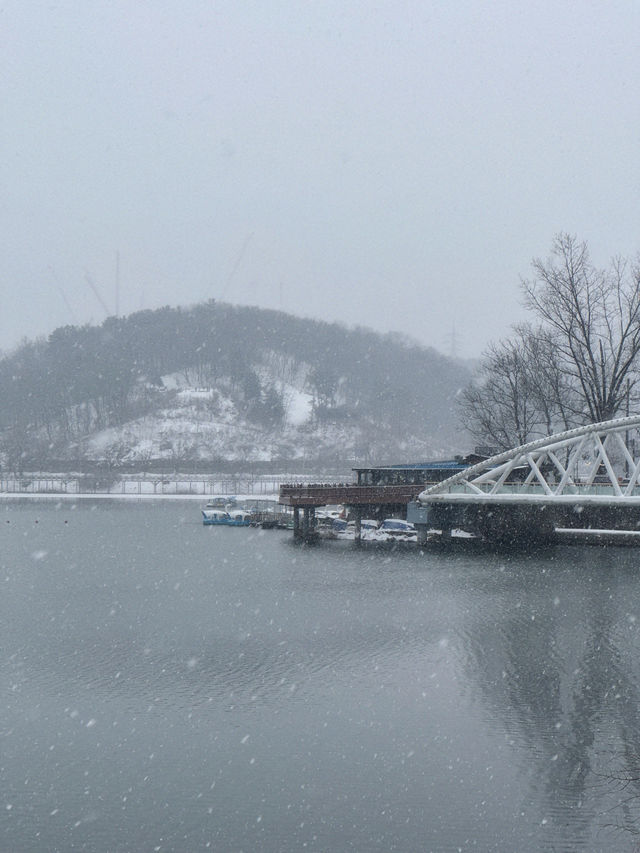 눈으로 뒤덮인 서울근교 드라이브+산책로 추천❄️