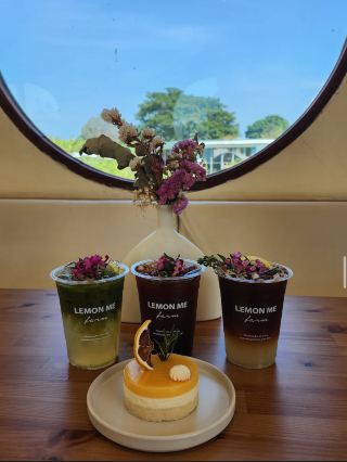 Lemon Farm