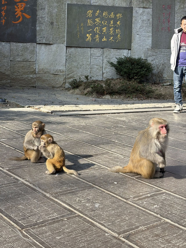 How to spend 2 days in Zhangjiajie 