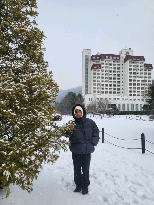 애니멀팜이 있는 평창 무료관람 공원