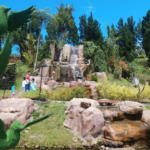 Betong Winter Flowers Garden
