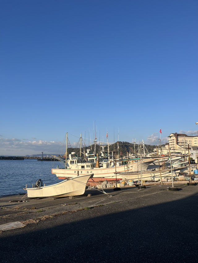 攻略|東京おすすめの日帰り旅行