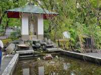 京都天龍寺參訪體驗：嵐山秋日禪境，夢幻曹源池庭園