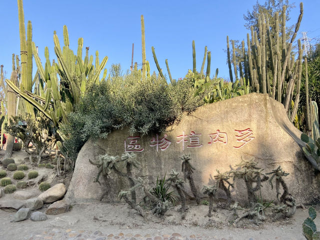 情人節好去處💕廈門園林植物園🌹🌵