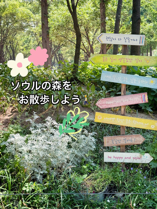 【韓国】ソウルの森カフェ通りを散策🚶