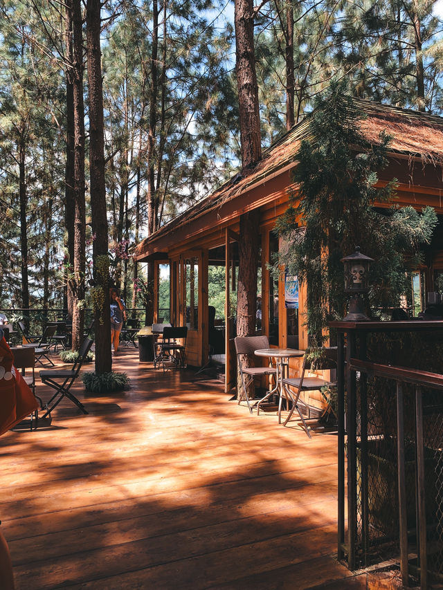 Cedar cafe ป่าสน เขาค้อ