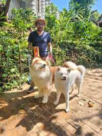 Mori Natural Farm เป็นฟาร์มสเตย์สไตล์ญี่ปุ่น