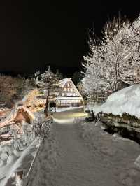 Hida folk village