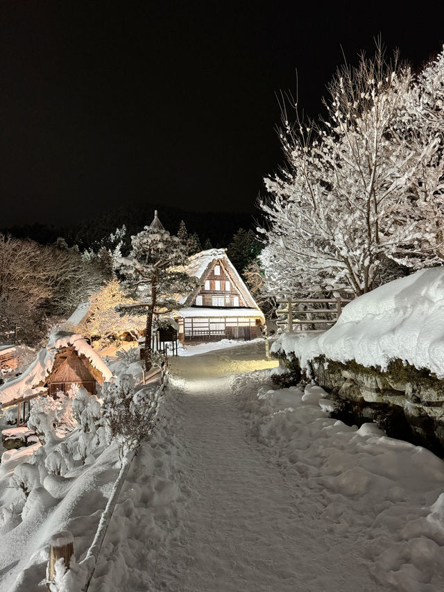 Hida folk village